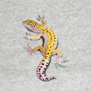 Leopard Gecko Clinger T-Shirt